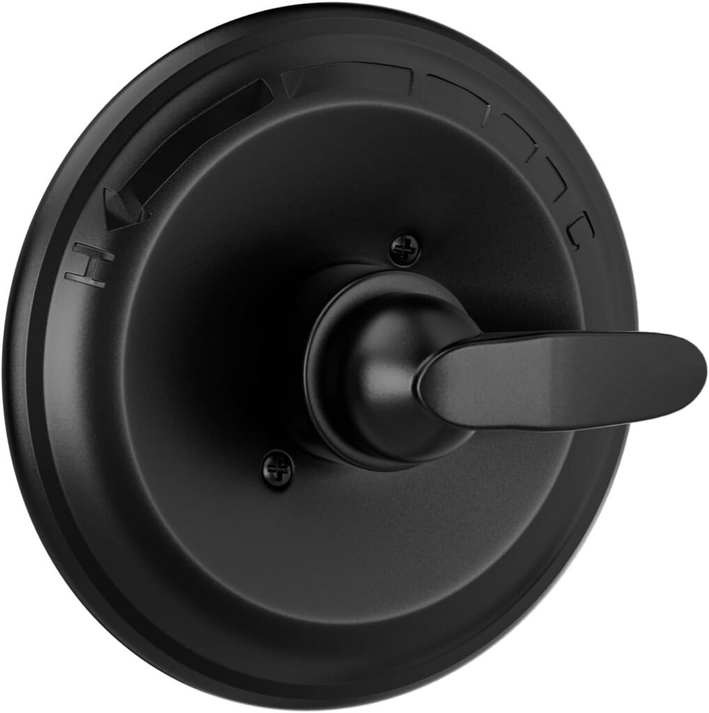 Matte Black Shower Valve Trim Kit